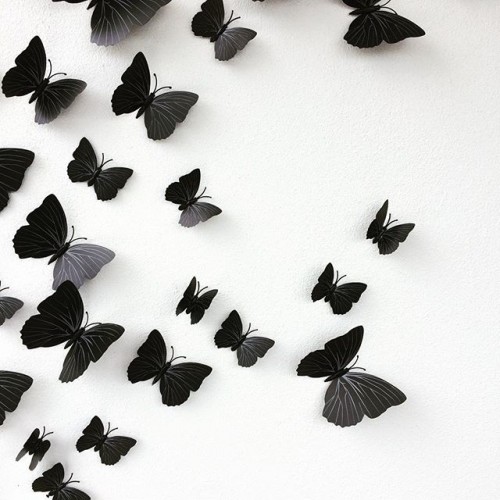 Flocking in